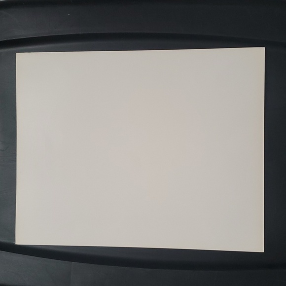 National Gallery of Art , RAPHAEL (1483-1520) , The Alba Madonna - Picture 8 of 8